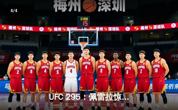 UFC 295：佩雷拉惊天左勾拳KO普罗哈兹卡，加冕轻重量级新王 - 4