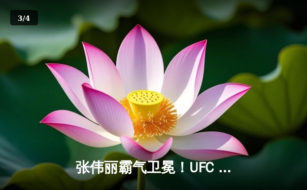 张伟丽霸气卫冕！UFC 300精彩落幕，中国力量闪耀全场 - 3