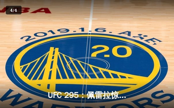 UFC 295：佩雷拉惊天左勾拳KO普罗哈兹卡，闪电夺得轻重量级金腰带 - 4