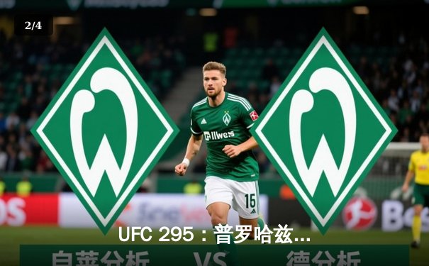 UFC 295：普罗哈兹卡与希尔轻重量级巅峰对决引爆纽约麦迪逊广场 - 2