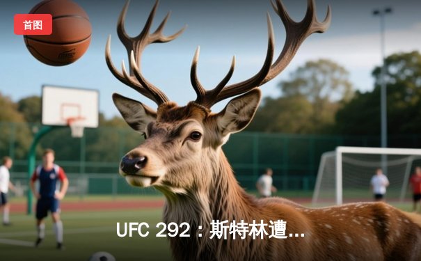 UFC 292：斯特林遭奥马利惊天KO失冠，中国选手傲日其楞鏖战遗憾告负