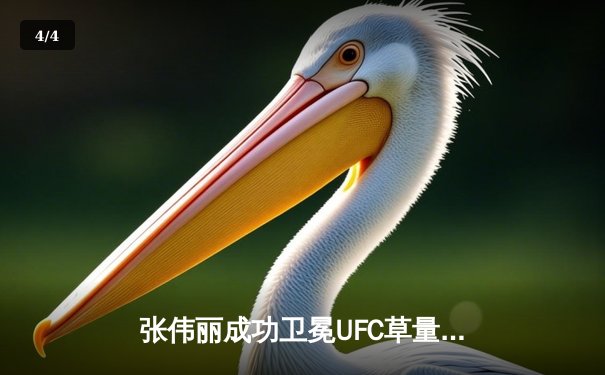 张伟丽成功卫冕UFC草量级冠军腰带，中国力量闪耀格斗之夜 - 4